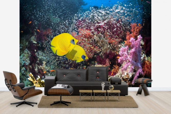 PHOTOWALL / Coral Reef Scenery (e23893)