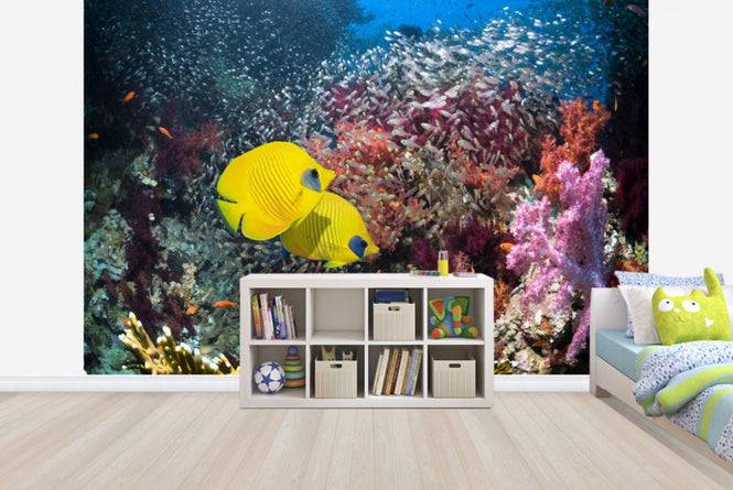 PHOTOWALL / Coral Reef Scenery (e23893)