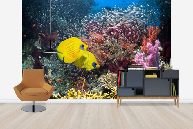 PHOTOWALL / Coral Reef Scenery (e23893)