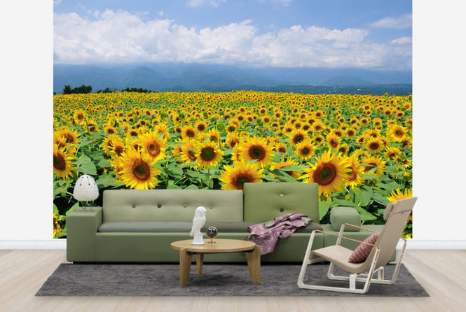 PHOTOWALL / Sunflowers in Sunny Weather (e23934)