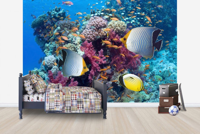 PHOTOWALL / Butterfly Fish (e23953)