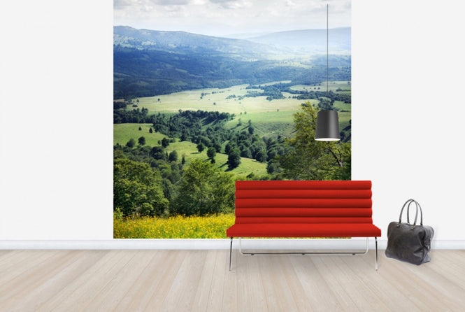 PHOTOWALL / Verdure and Yellow Spring Flowers (e24028)