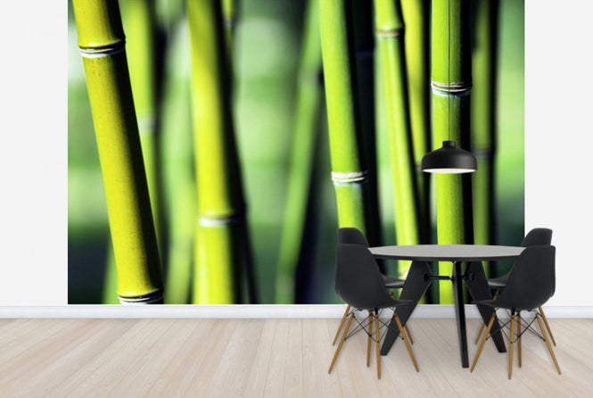 PHOTOWALL / Evergreen (e24099)