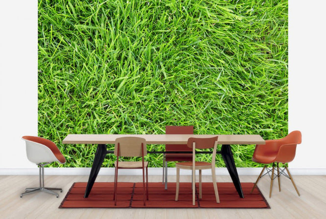 PHOTOWALL / Fresh Green Grass (e24101)