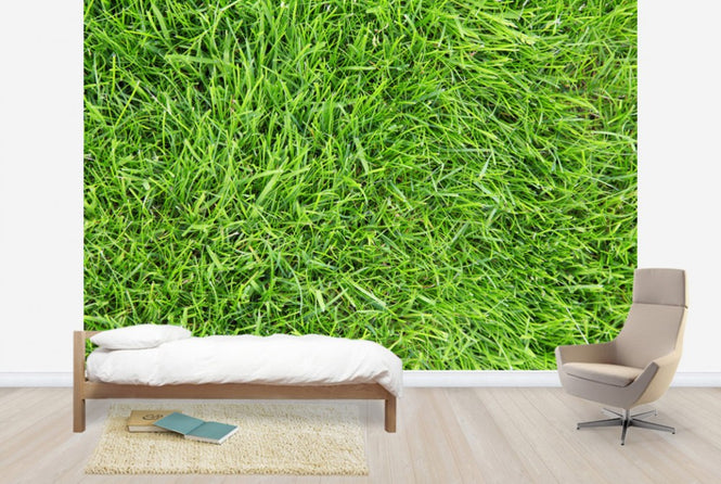 PHOTOWALL / Fresh Green Grass (e24101)