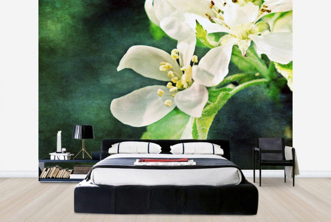 PHOTOWALL / Apple Blossom (e24121)