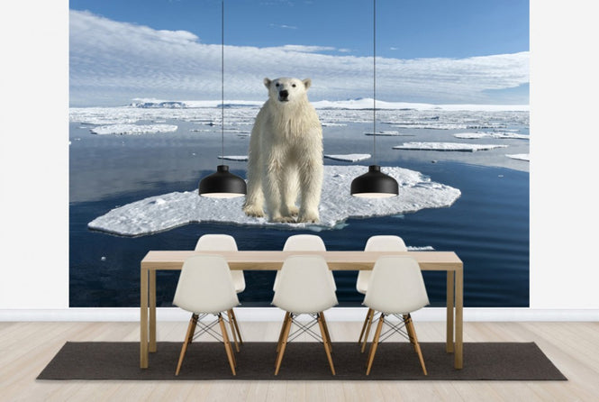 PHOTOWALL / On Thin Ice (e24145)