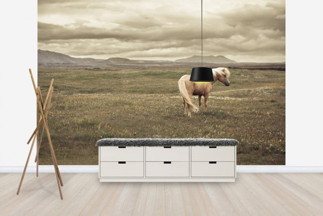 PHOTOWALL / Icelandic Horse (e24363)