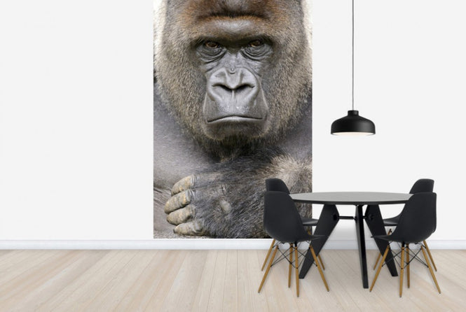 PHOTOWALL / Determinate (e24437)