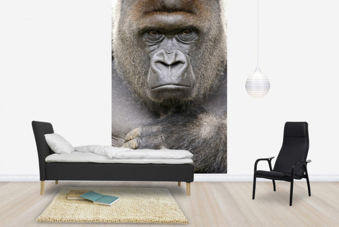 PHOTOWALL / Determinate (e24437)