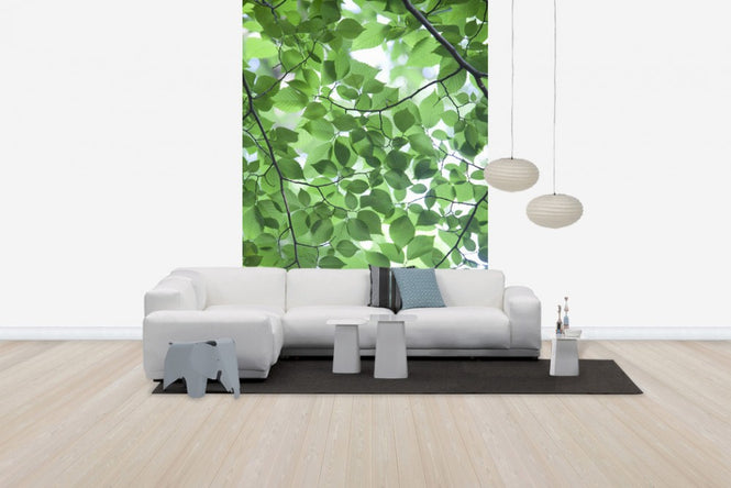 PHOTOWALL / Patterns of Leaves (e24542)