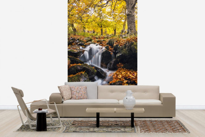 PHOTOWALL / Splashes of Autumn (e24588)