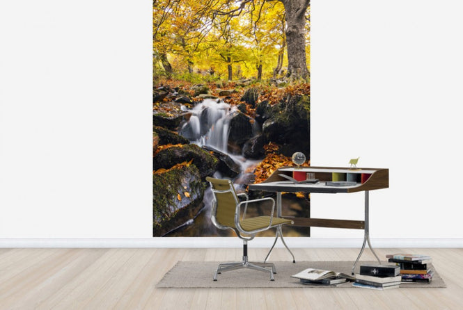 PHOTOWALL / Splashes of Autumn (e24588)
