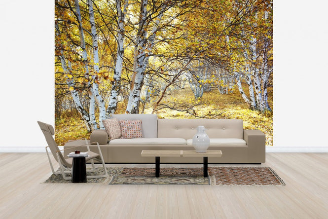 PHOTOWALL / Autumn Flavour (e24619)