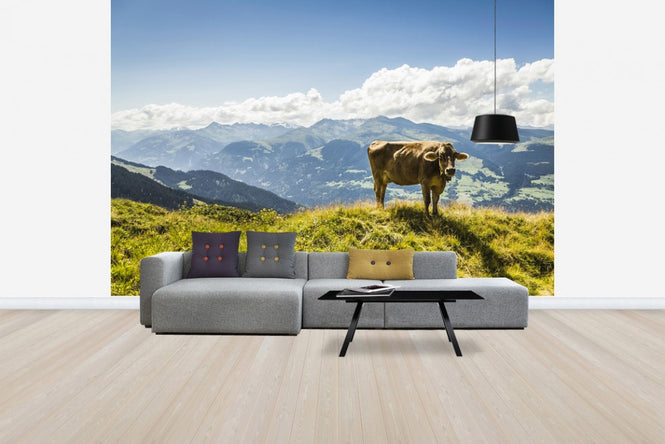 PHOTOWALL / Cow Grazing on Grassy Hillside (e24640)