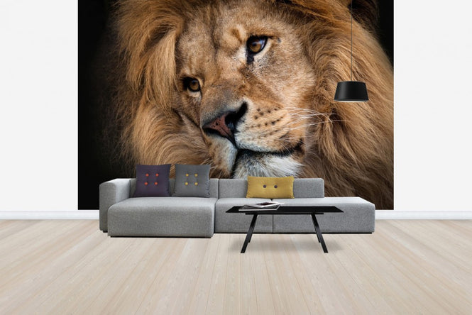 PHOTOWALL / Leo (e24647)