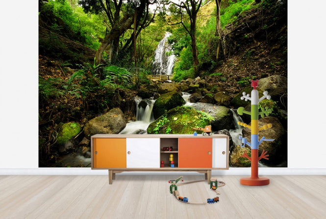 PHOTOWALL / Peaceful Forest Waterfall (e24712)