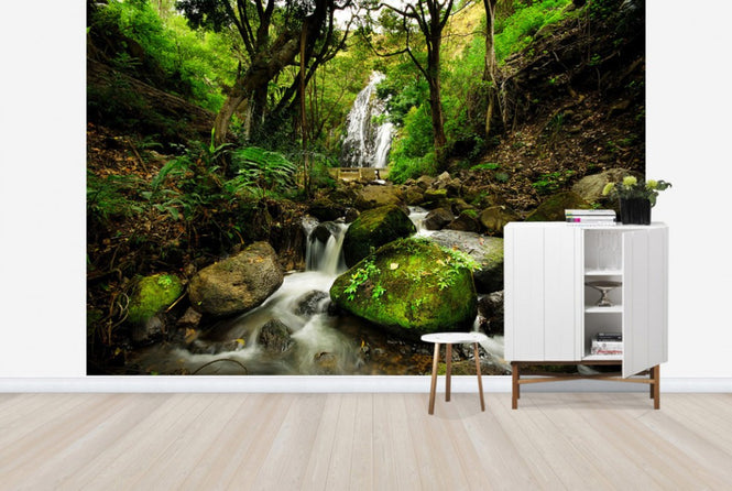 PHOTOWALL / Peaceful Forest Waterfall (e24712)