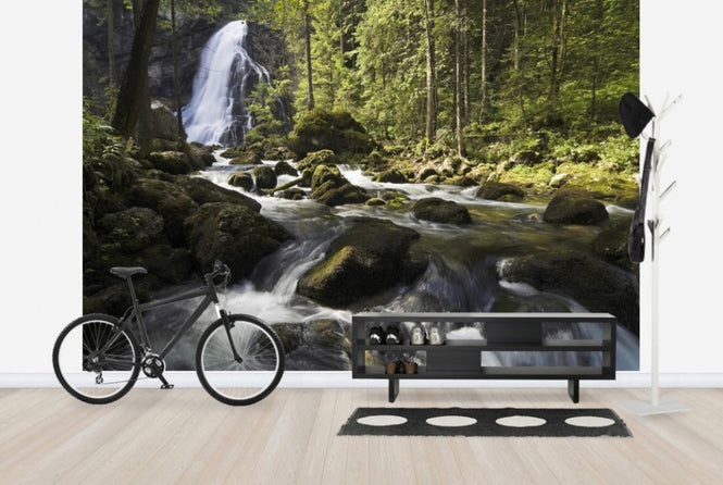 PHOTOWALL / Serene Waterfall (e24714)