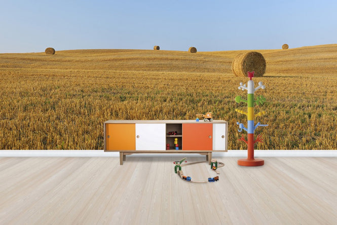 PHOTOWALL / Harvested Wheat Field (e29399)