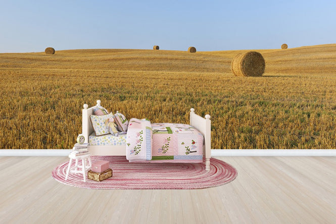 PHOTOWALL / Harvested Wheat Field (e29399)