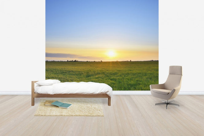 PHOTOWALL / Meadow at Sunset (e40243)