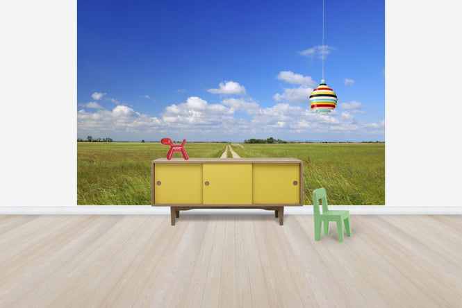 PHOTOWALL / Path through Meadow (e40246)