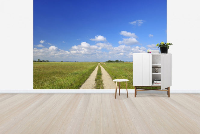 PHOTOWALL / Path through Meadow (e40246)