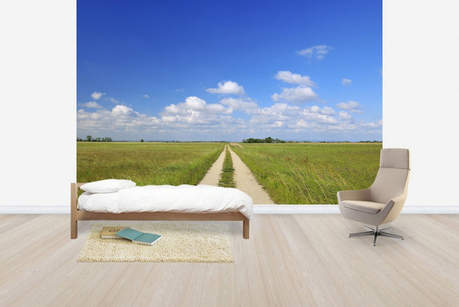 PHOTOWALL / Path through Meadow (e40246)