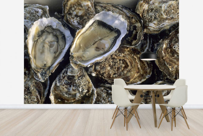 PHOTOWALL / Oysters (e24917)