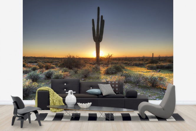 PHOTOWALL / Desert Sunset (e40333)