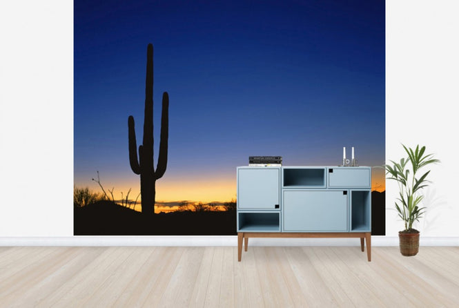 PHOTOWALL / Silhouette of Desert Cactus (e40337)