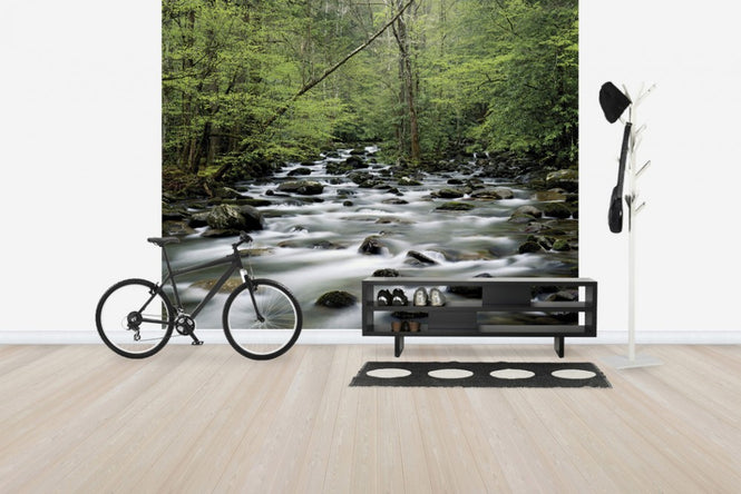 PHOTOWALL / Little Pigeon River (e40384)