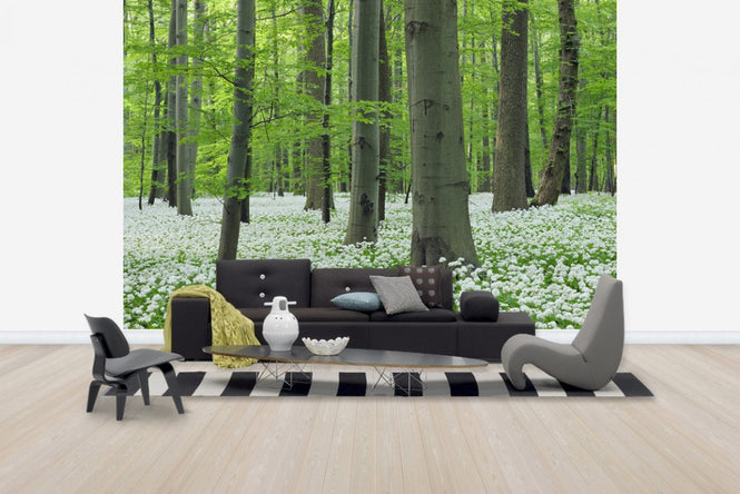 PHOTOWALL / Ramsons Forest (e40411)
