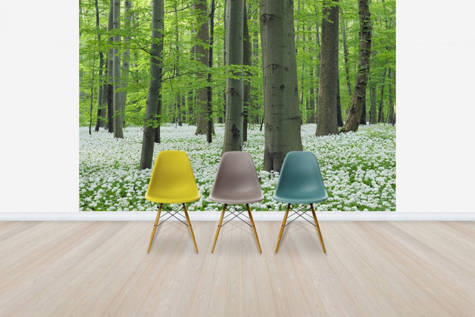 PHOTOWALL / Ramsons Forest (e40411)