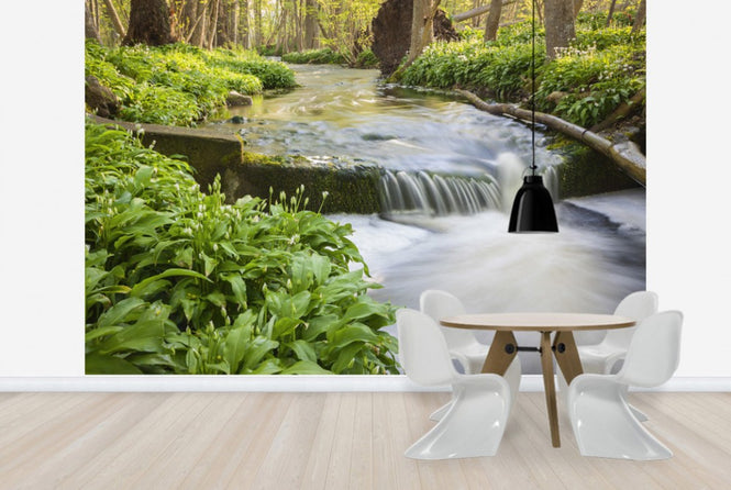 PHOTOWALL / Lummelunda River (e25113)