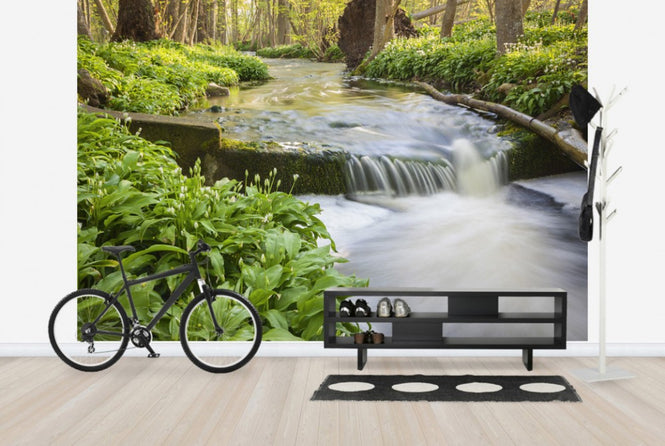 PHOTOWALL / Lummelunda River (e25113)