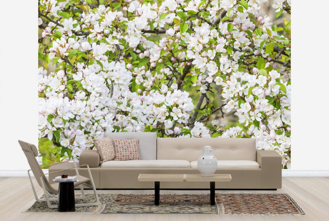 PHOTOWALL / Apple Flowers (e25116)
