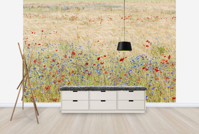 PHOTOWALL / Rye Field with Flowers (e25141)