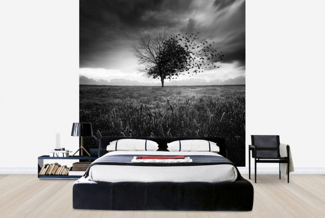 PHOTOWALL / Illusion of a Lost Feather (e29451)