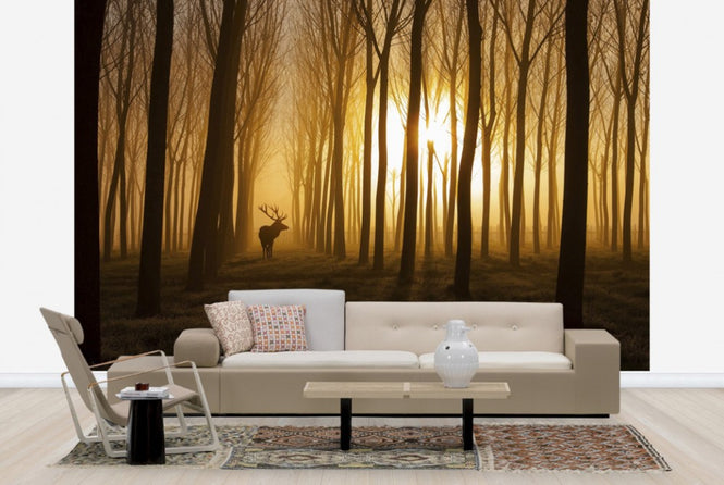 PHOTOWALL / Once Upon a Time (e29454)