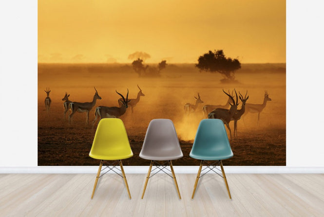 PHOTOWALL / Sentinels (e29480)