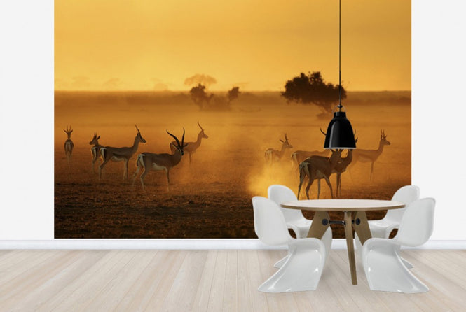 PHOTOWALL / Sentinels (e29480)