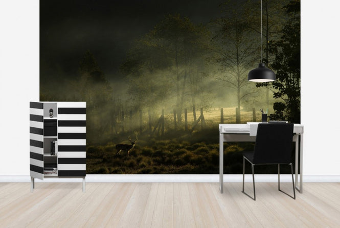 PHOTOWALL / Misty Morning (e29492)