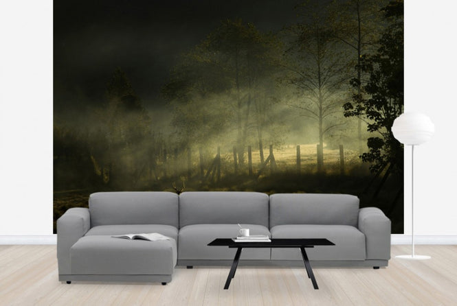 PHOTOWALL / Misty Morning (e29492)