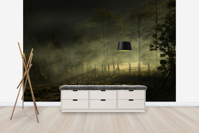 PHOTOWALL / Misty Morning (e29492)