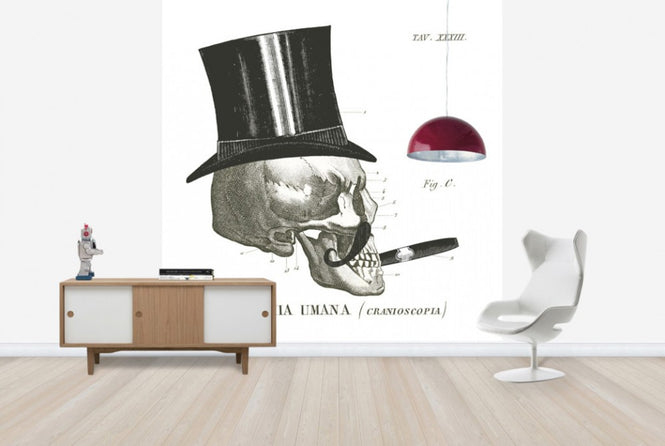 PHOTOWALL / Dandy Bones III (e25532)