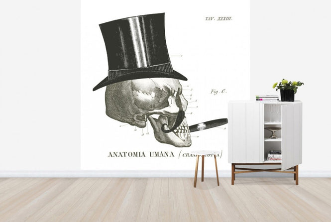 PHOTOWALL / Dandy Bones III (e25532)