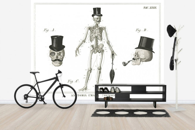 PHOTOWALL / Dandy Bones (e25534)