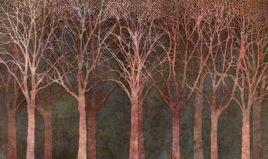 PHOTOWALL / Birch Grove Night Twilight (e25608)
